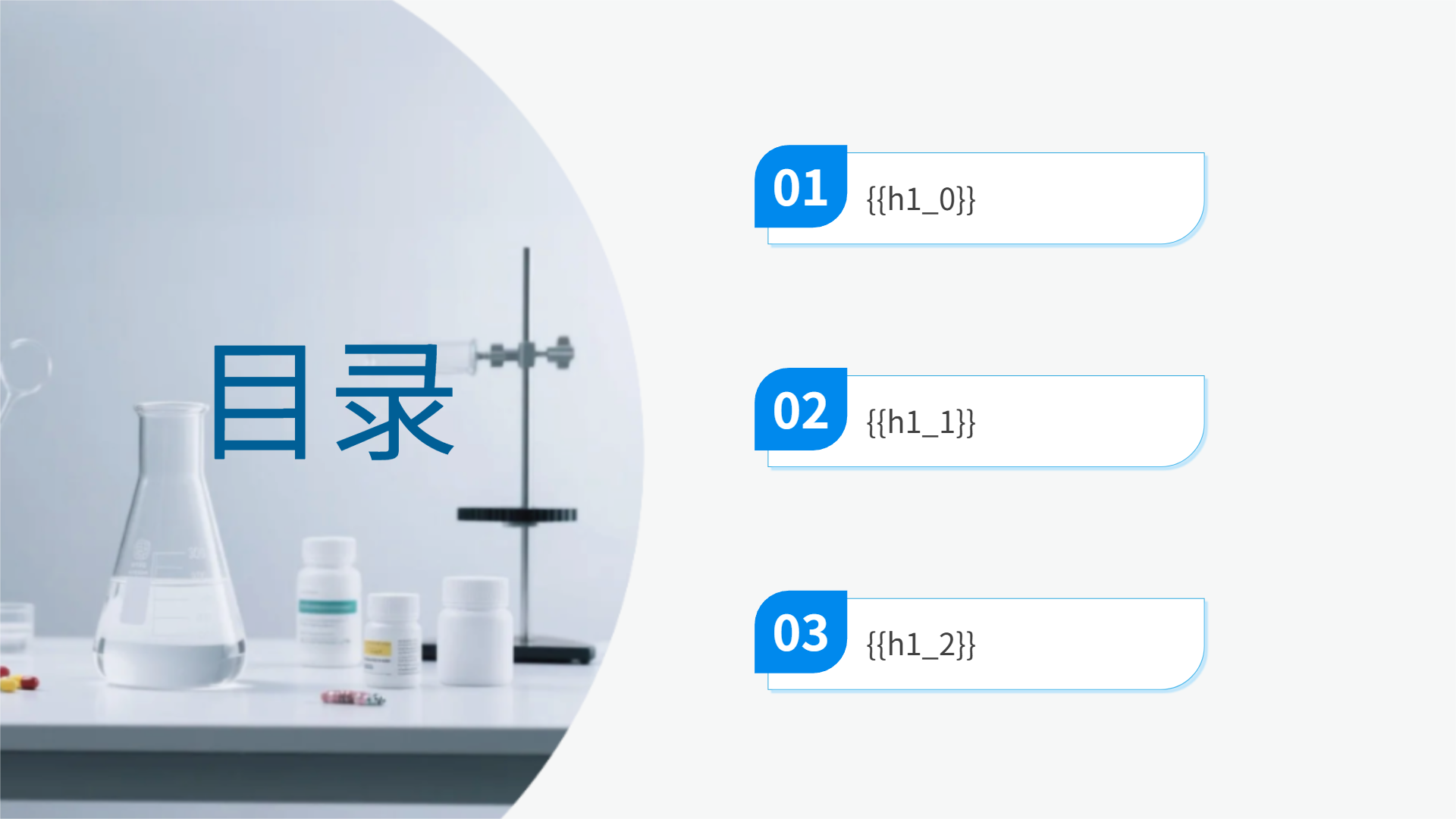 蓝色医药公司工作报告模板 - 第 2 页