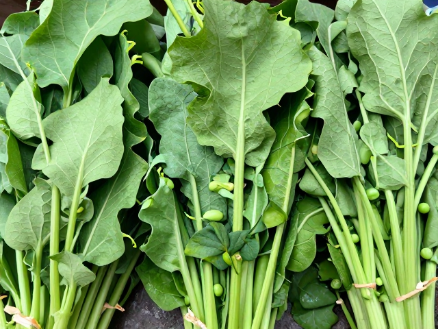 旺季蔬菜降价！红薯叶豌豆尖鲜货囤货攻略