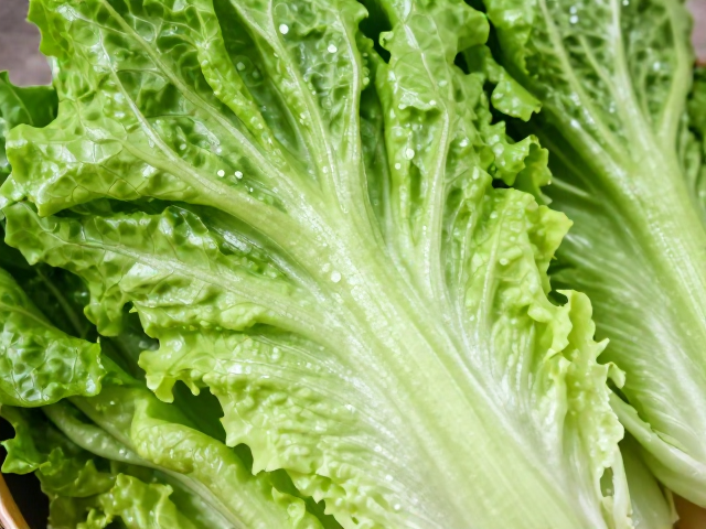 生菜清脆爽口：保留水分与色泽的处理技巧