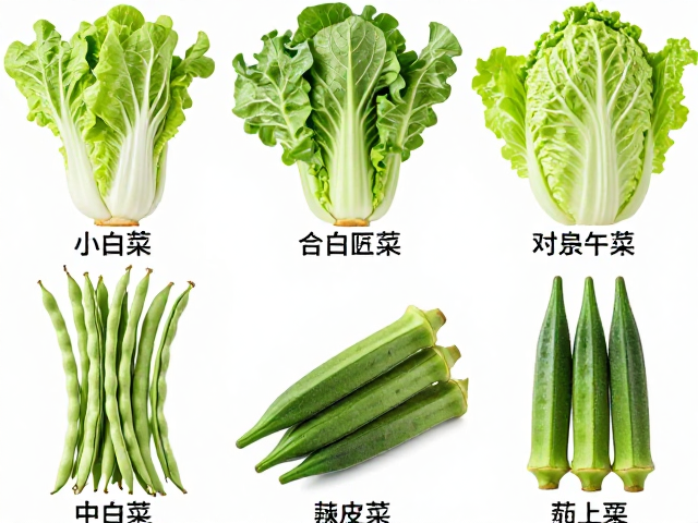 豆荚类蔬菜的质地判断：豇豆与秋葵的新鲜标识