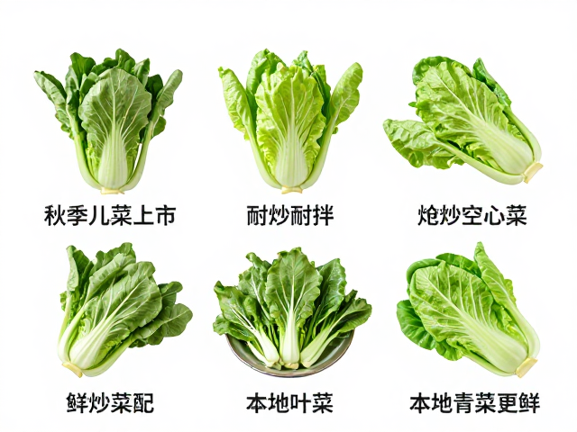 儿菜的多种烹饪场景与搭配建议