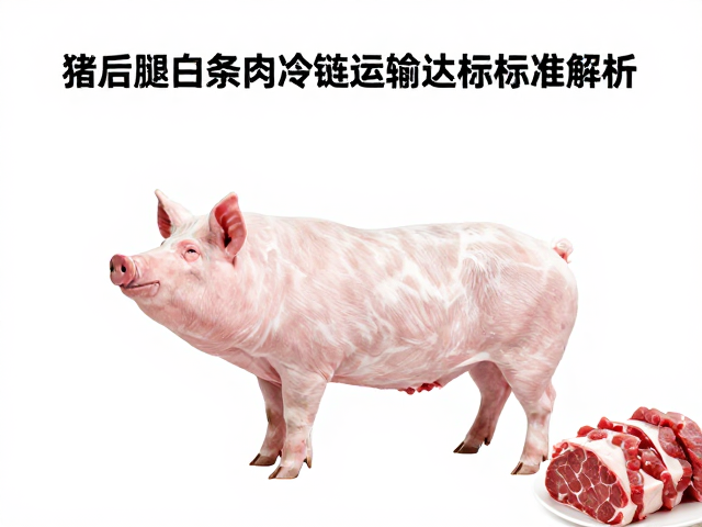 分割与包装环节对肉丁品质的预处理影响