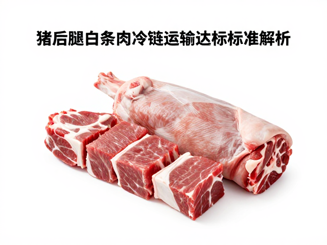 运输时效与全程温度监控的数据标准