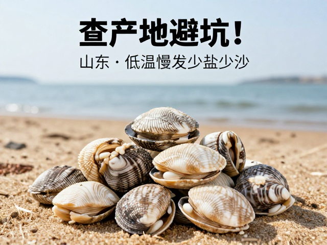 产地溯源：山东海域的自然馈赠