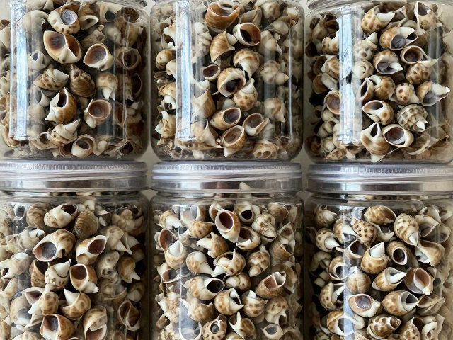 淡菜干的分装存储与防霉保鲜技巧