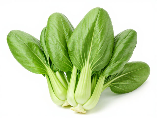小白菜净菜耐炒