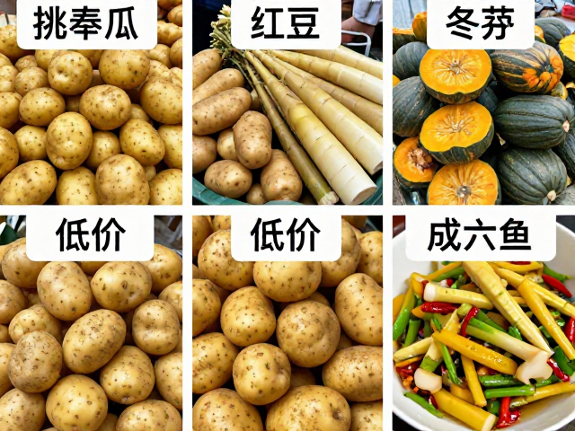 旺季菜价跳水！川渝批发土豆南瓜冬笋低价，附家常做法