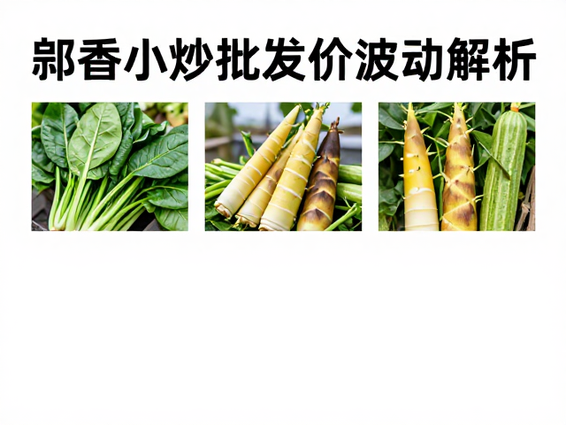 价格波动与供应链响应