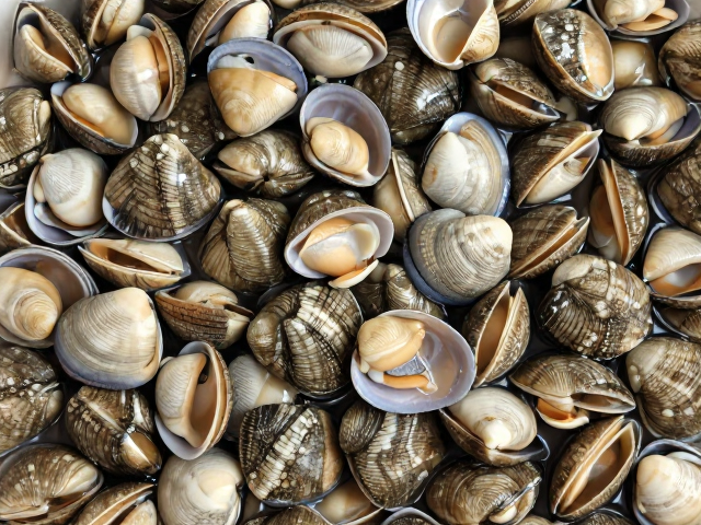 海鲜家庭备货，贝类走油去杂，冷藏保存远离异味