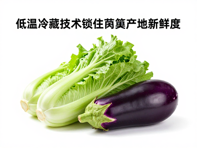 低温锁鲜技术对莴笋与茄子品质的具体影响