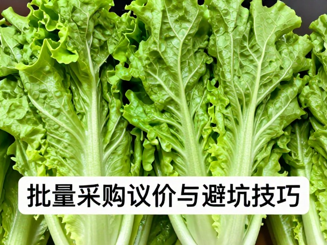 避坑技巧与现场验货标准