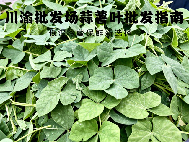 市场流通中的成本效益分析与物流匹配