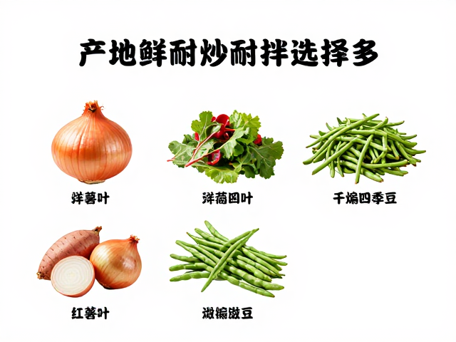 洋葱红薯叶干煸四季豆：产地新鲜耐炒耐拌选择多