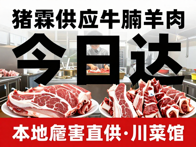 当日达物流与后厨运营效率