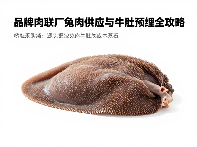 降低加工成本！品牌肉联厂兔肉供应与牛肚预处理全攻略