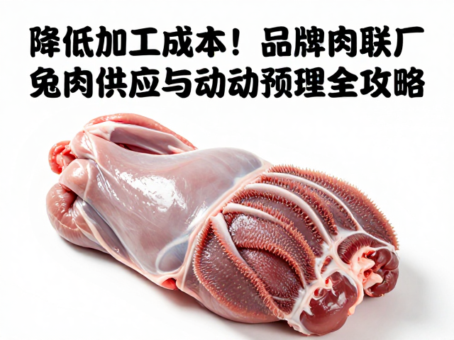 工艺革新：兔肉精细化分割与自动化降本路径