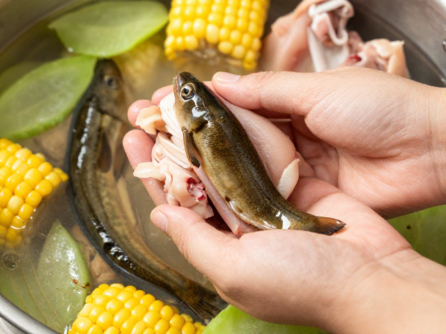 活鲜泥鳅与猪蹄的养生炖煮法，配莴笋玉米，香叶防潮是关键