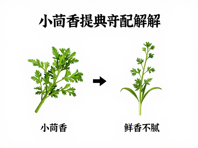 标准化操作流程解析
