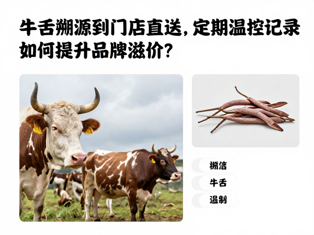 从牛舌溯源到门店直送，定期温控记录如何提升品牌溢价？