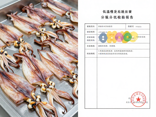 标准化处理流程与操作要点