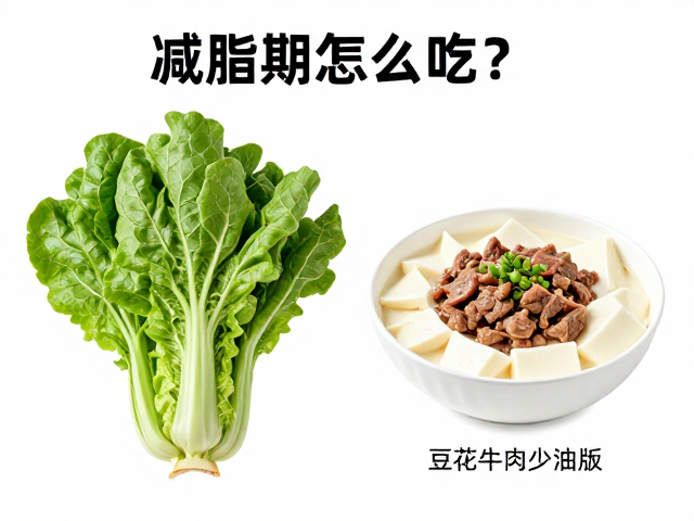 绿叶菜与膳食纤维的协同作用机制