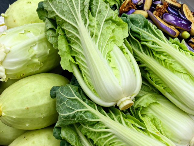 冬瓜花菜净菜分拣去损叶，本地菜成本稳定，鱼香茄子无腐烂虫斑