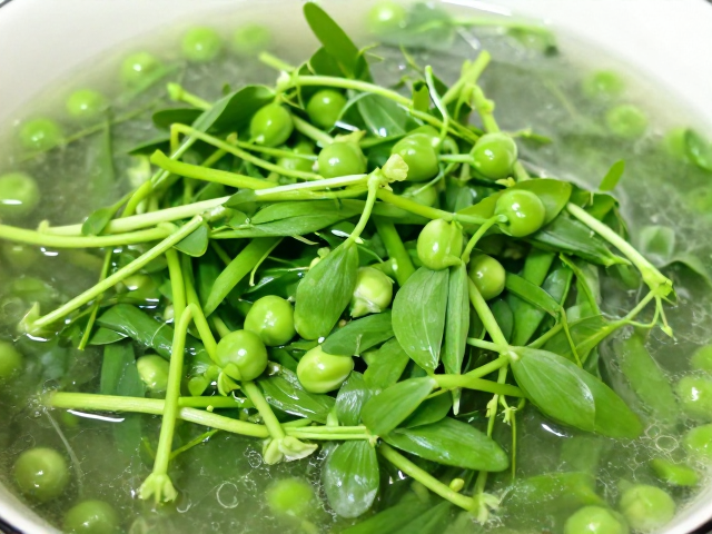 豌豆尖的时令选择与食材处理