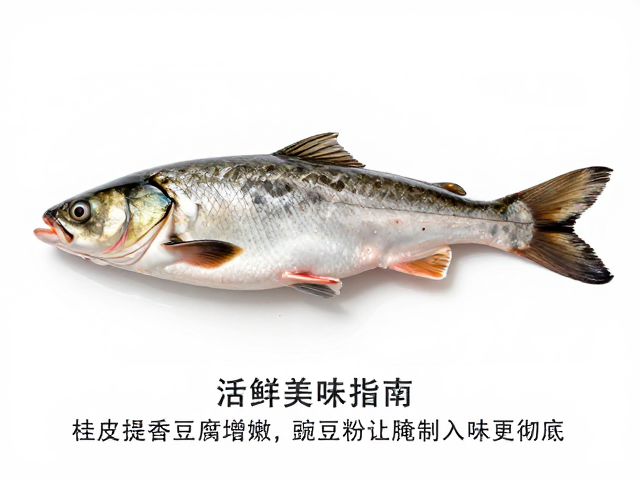 豌豆粉腌制法与入味机制