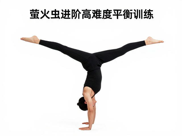 核心稳定性的生理学基础与激活机制