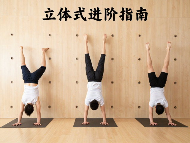 离墙平衡训练的分阶路径