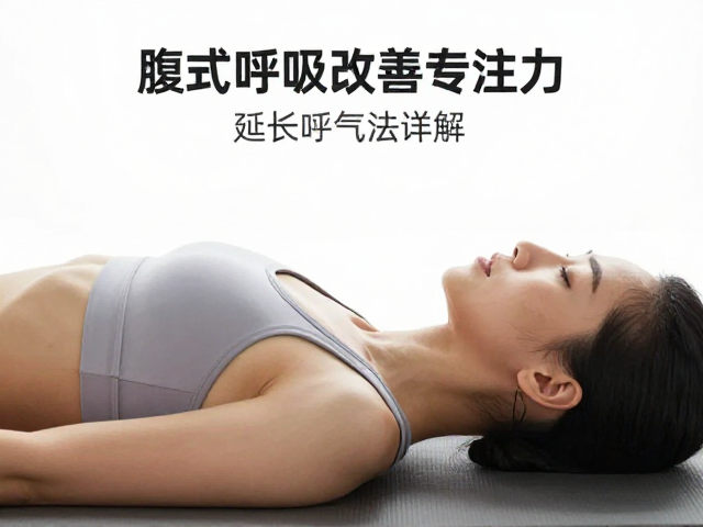 专注力重塑:腹式呼吸的神经机制