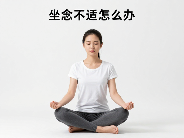 久坐疼痛的生理机制与正念的介入逻辑