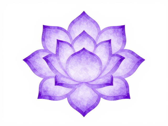莲花曼陀罗冥想的专注与净化