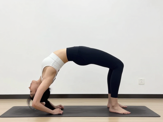 核心链式反应与全身协同强化