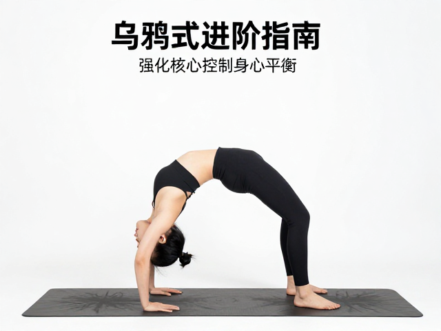 解锁“乌鸦式”的脊柱哲学