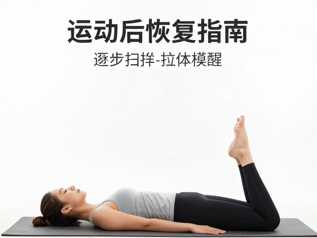 动态拉伸与筋膜放松