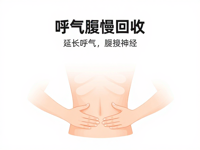 调息法的具体操作与腹部回收技巧
