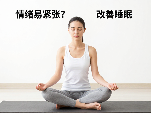 整合练习与日常应用
