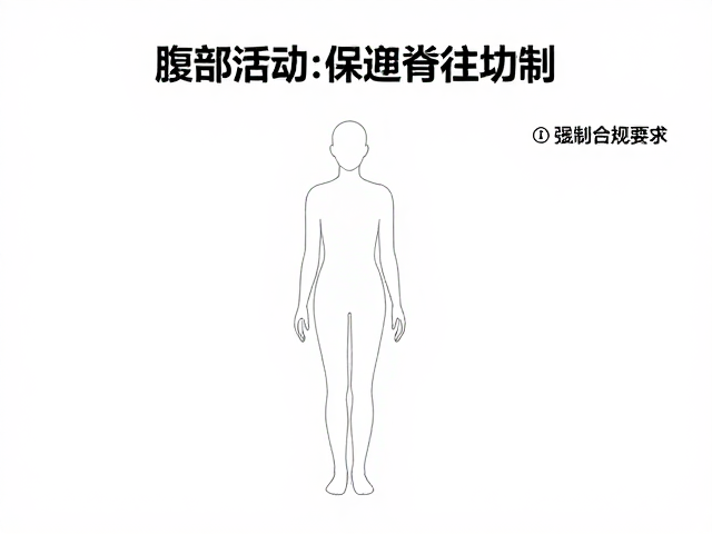 促进腹部活动的力学机制