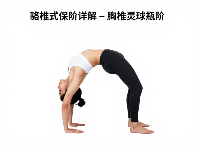 颈椎生理曲度与骆驼式的力学解析