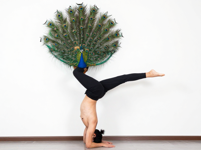 倒立进阶:从靠墙到独立平衡的控制逻辑