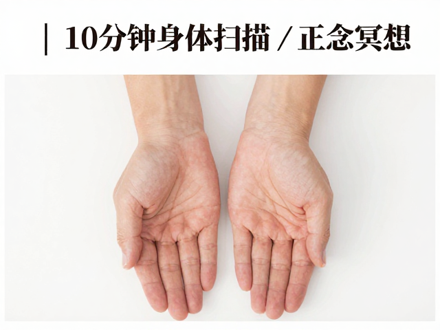 睡前必做，10分钟身体扫描正念冥想，关注呼吸改善睡眠