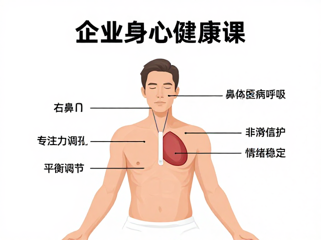 生理机制解析:自主神经系统的平衡调节