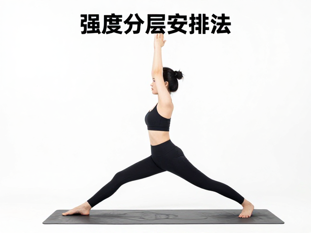 动态流中的强度分层逻辑
