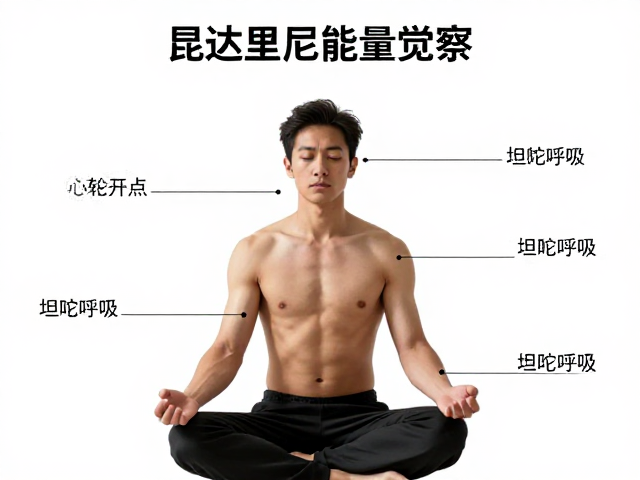 坦陀呼吸的节奏调控与能量催化
