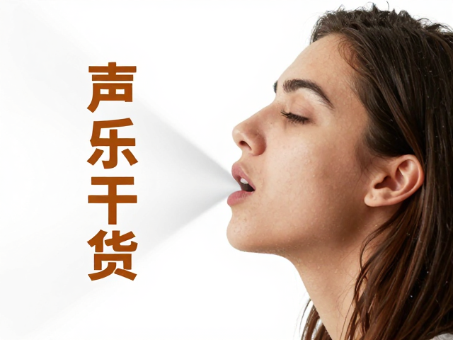 口腔参与对气流形态的塑造