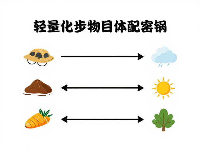 轻量化食物搭配秘籍,多日徒步天气预判下的体能管理