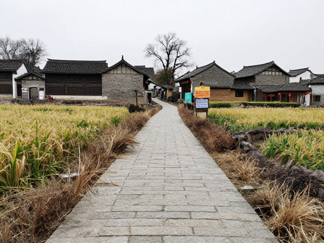 冬季古村古道轻徒步,中级爬升与草甸花海,附停车门票指南