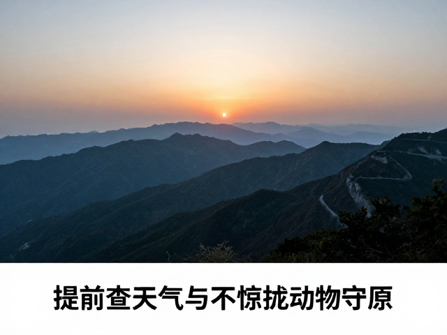 精准气象判断与光线预判