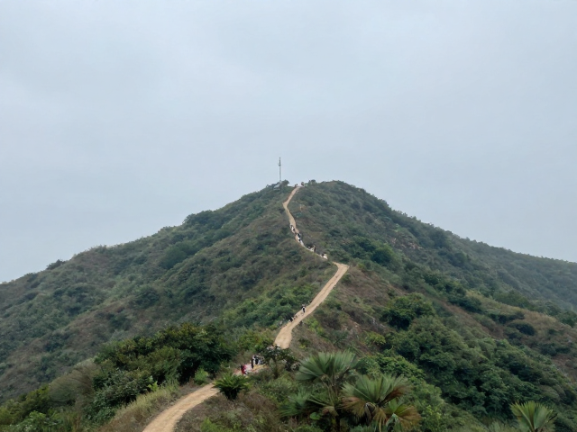 生态友好与行为规范：无痕山林的实践准则